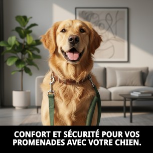 Poignée Omega 45 cm : Confort et Style pour les Promenades 2