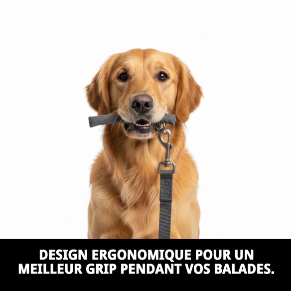 Poignée Omega 45 cm : Confort et Style pour les Promenades