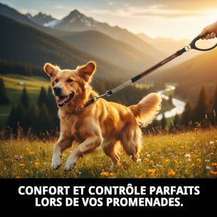 Poignée Omega C/Spring 60cm pour Animaux de Compagnie de Qualité 2