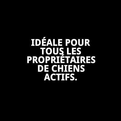 Poignée Omega C/Spring 60cm pour Animaux de Compagnie de Qualité