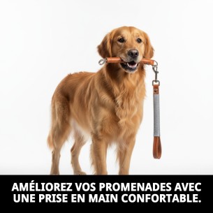 Poignée en cuir et feutre avec ressort de 45 cm pour animaux de compagnie. 2
