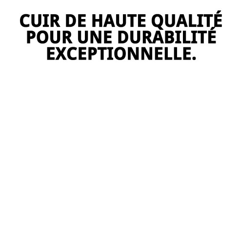 Ramal en Cuir Policier 2m x 1.8cm pour Animaux de Compagnie