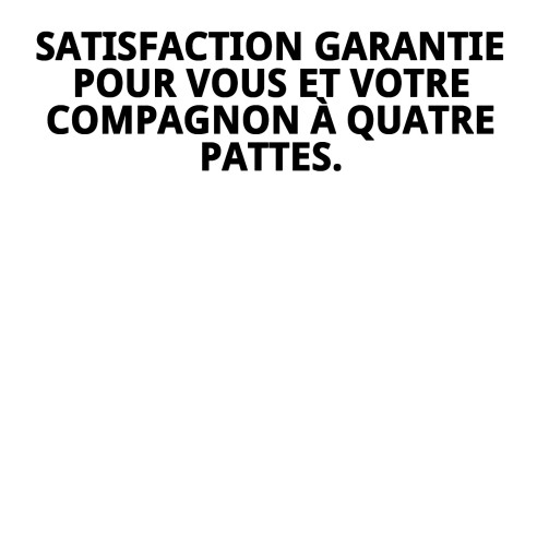 Ramal en Cuir Policier 2m x 1.8cm pour Animaux de Compagnie