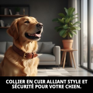 Collier en cuir double 60 x 3,5 cm pour votre animal de compagnie. 2