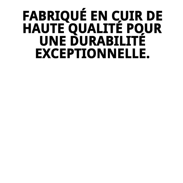 Collier en cuir double 60 x 3,5 cm pour votre animal de compagnie.