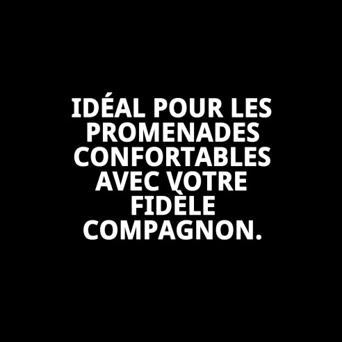 Collier en cuir double 60 x 3,5 cm pour votre animal de compagnie.