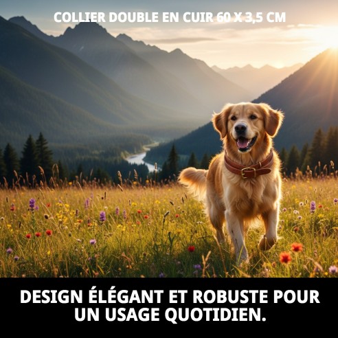 Collier en cuir double 60 x 3,5 cm pour votre animal de compagnie.