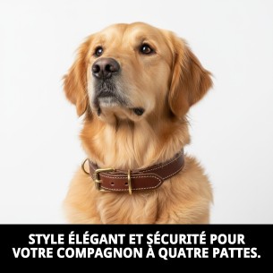 Collier en Cuir Double 65x4 cm pour Animaux Élégant et Résistant 2