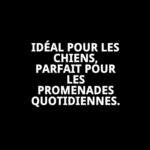 Collier en Cuir Double 65x4 cm pour Animaux Élégant et Résistant