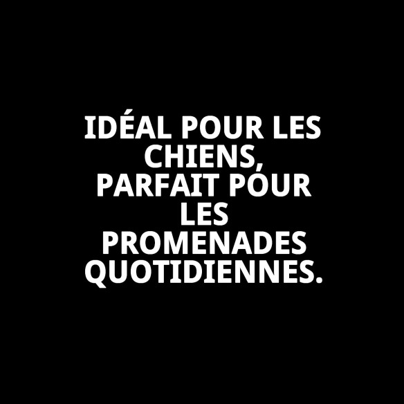 Collier en Cuir Double 65x4 cm pour Animaux Élégant et Résistant