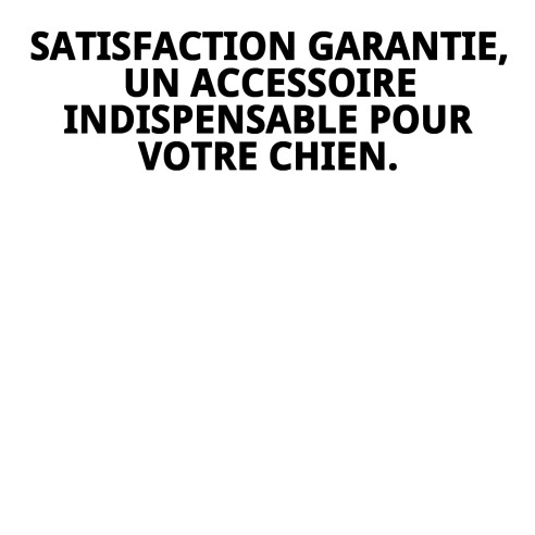 Collier en Cuir Double 65x4 cm pour Animaux Élégant et Résistant