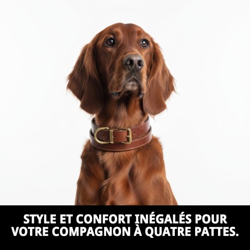 Collier en Cuir Double 75 x 4 cm pour Animaux Élégant