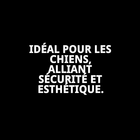 Collier en Cuir Double 75 x 4 cm pour Animaux Élégant