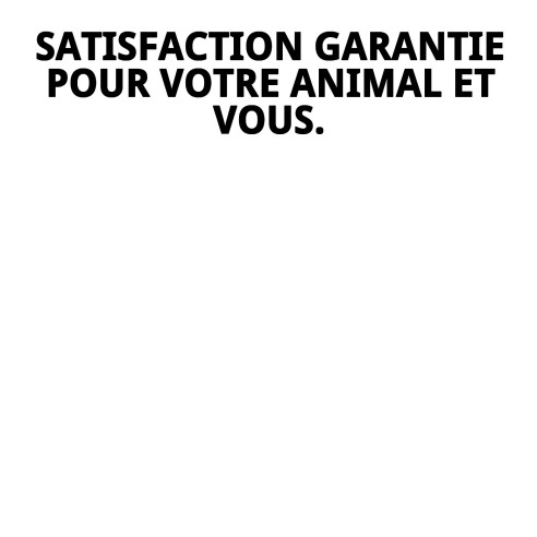 Collier en Cuir Double 75 x 4 cm pour Animaux Élégant