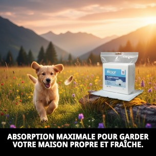 Moly Puppy Pads Grand : Alèses jetables pour animaux de compagnie 2