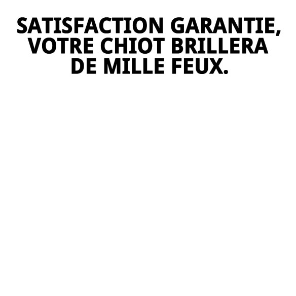 Parfum Puppy 125ml : Fraîcheur et Arômes pour Votre Chiot