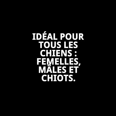 Parfum Aroma Fraise pour Chiens - Fraîcheur Naturelle 125ml