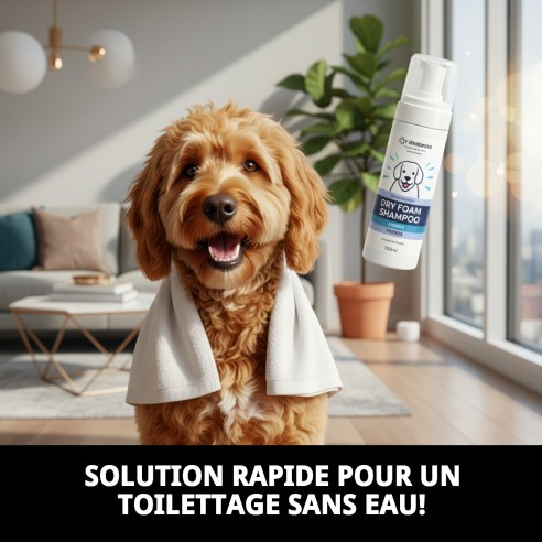 Shampoo Mousse Sec 150ml pour un Bain Rapide et Efficace