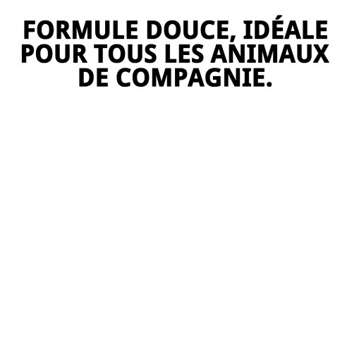 Shampoo Mousse Sec 150ml pour un Bain Rapide et Efficace