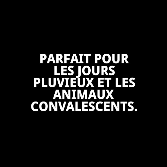 Shampoo Mousse Sec 150ml pour un Bain Rapide et Efficace