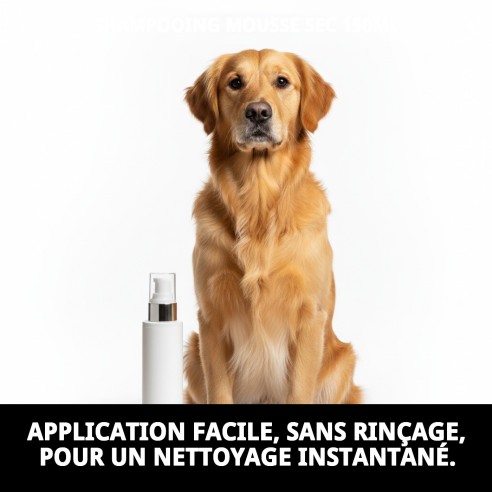 Shampoo Mousse Sec 150ml pour un Bain Rapide et Efficace