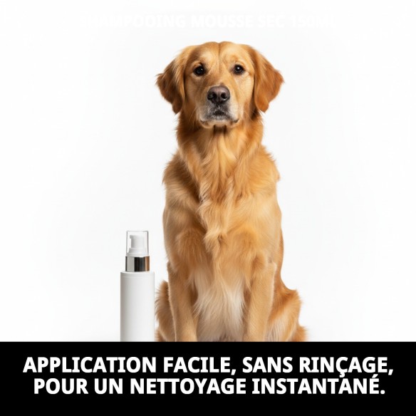 Shampoo Mousse Sec 150ml pour un Bain Rapide et Efficace