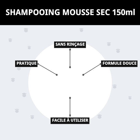 Shampoo Mousse Sec 150ml pour un Bain Rapide et Efficace