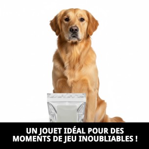 Balle de Tennis avec Empreintes 6,5 cm - Pack de 2 pour Animaux de Compagnie 2