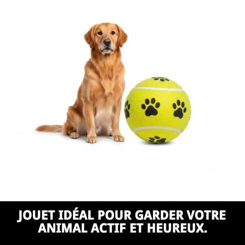 Balle de Tennis 10 cm avec Empreintes - Jouets pour Animaux de Compagnie