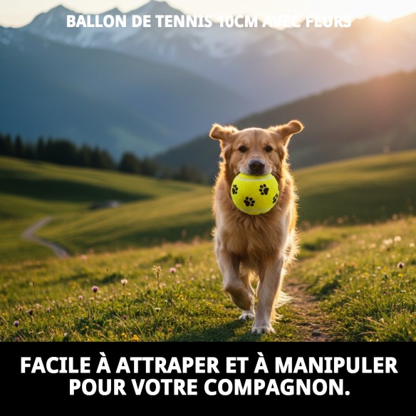 Balle de Tennis 10 cm avec Empreintes - Jouets pour Animaux de Compagnie