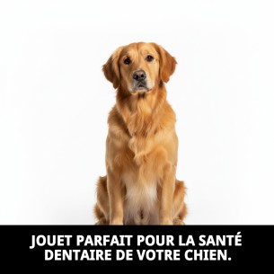 Balle en Caoutchouc Massif pour Chiens - Amusement et Sécurité 2