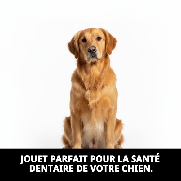 Balle en Caoutchouc Massif pour Chiens - Amusement et Sécurité