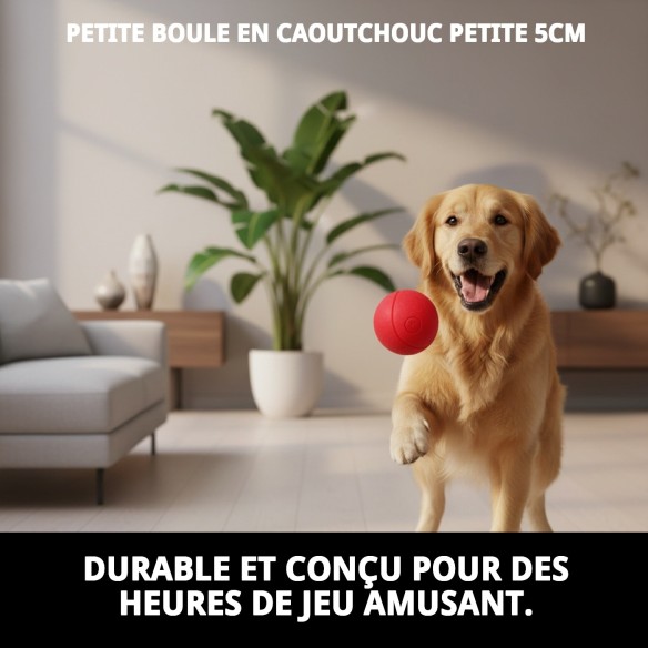 Balle en Caoutchouc Massif pour Chiens - Amusement et Sécurité