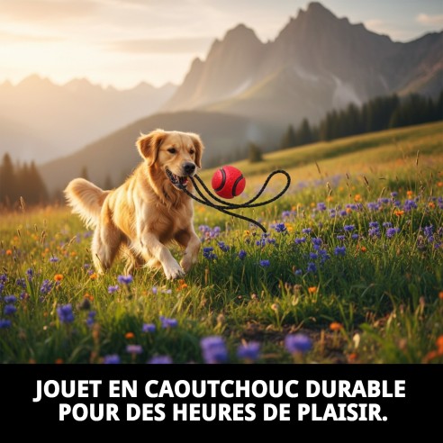 Balle en Caoutchouc de 6 cm avec Corde en Nylon pour Animaux de Compagnie