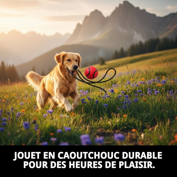 Balle en Caoutchouc de 6 cm avec Corde en Nylon pour Animaux de Compagnie