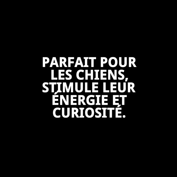 Balle en Caoutchouc de 6 cm avec Corde en Nylon pour Animaux de Compagnie