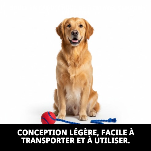 Balle en Caoutchouc de 6 cm avec Corde en Nylon pour Animaux de Compagnie