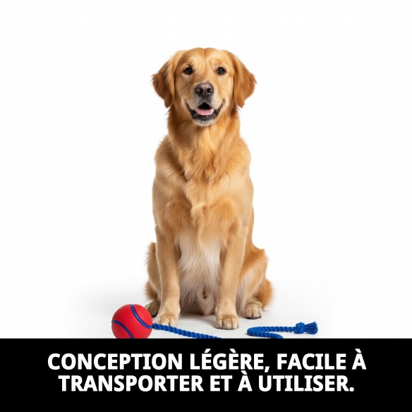 Balle en Caoutchouc de 6 cm avec Corde en Nylon pour Animaux de Compagnie