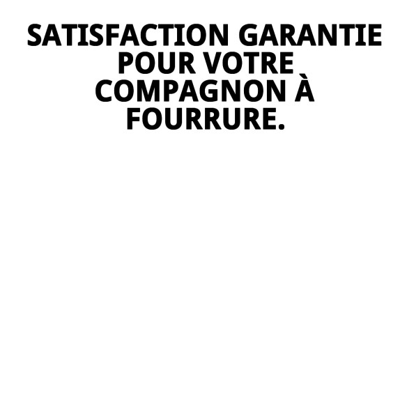 Balle en Caoutchouc de 6 cm avec Corde en Nylon pour Animaux de Compagnie