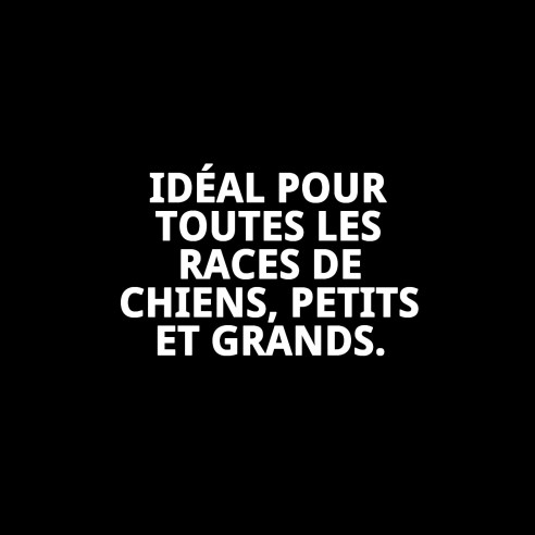 Os en Caoutchouc Grand 20cm pour Jouer et Mordre