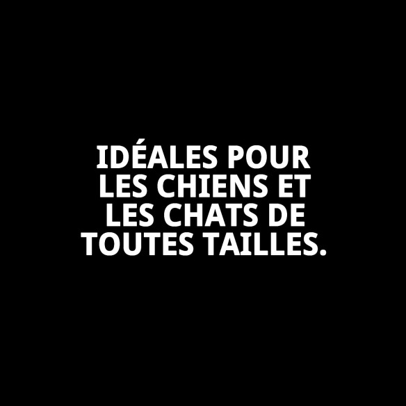 Exposant de 12 Clips pour Cheveux de Animaux de Compagnie ! Achetez Maintenant !