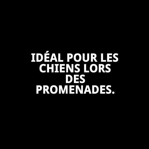 Muzzle en Nylon Boxer N.8 - Confort et Sécurité pour votre Animal de Compagnie