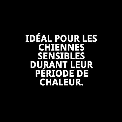 Slip en nylon extra pour Celo - Confort et protection 24-31 cm