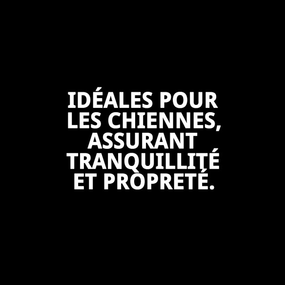 Culotte en Nylon Extra pour Chiennes en Chaleur - Taille 32-39 cm