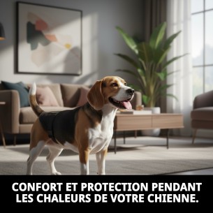 Slip en Nylon Extra pour Chiens de 40-49 cm - Confort et Propreté 2