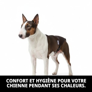 Slip en Nylon Extra pour Chiennes en Chaleur - Taille N.4 50-59cm 2