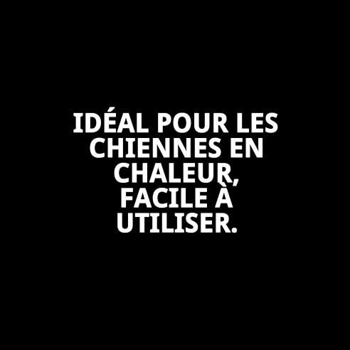 Slip en Nylon Extra pour Chiennes en Chaleur - Taille N.4 50-59cm