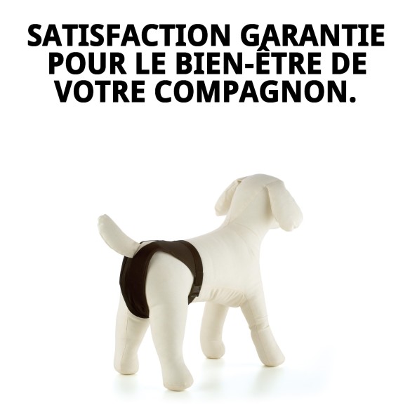 Slip en Nylon Extra pour Chiennes en Chaleur - Taille N.4 50-59cm