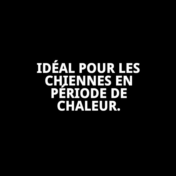 Slip en Nylon Extra N.5 pour Chiennes en Chaleur - Confort et Style