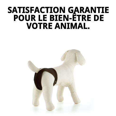 Slip en Nylon Extra N.5 pour Chiennes en Chaleur - Confort et Style